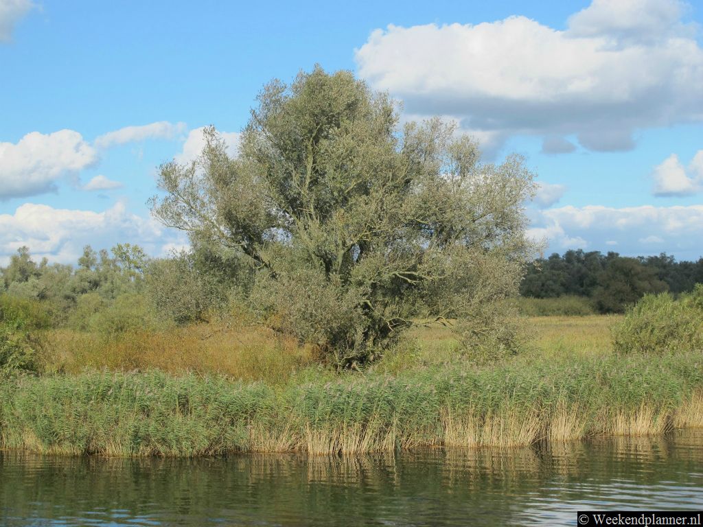 In de Biesbosch is nog steeds een getijdenverschil. Als je met een gids door het natuurgebied gaat wandelen kun je dus natte voeten krijgen.Tips: Mooie wandelroutes in de Biesbosch.